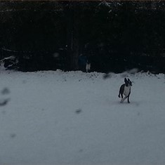20130211_111014