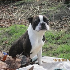 Bimba