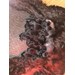 Foto 3 CAMADA DE SCHNAUZER MEDIANO NEGRO