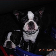 Dana y Luna