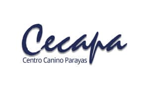 Logotipo de Cecapa