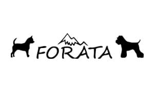 Logotipo de Forata