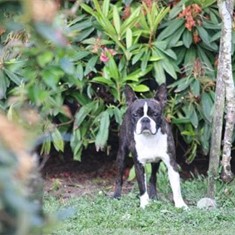 IMG_0085.JPG