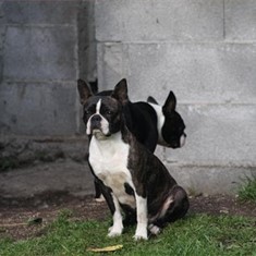 IMG_0090.JPG