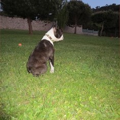 IMG_0109.JPG