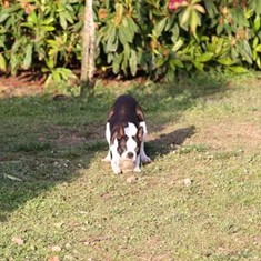 IMG_0112.JPG