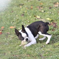 IMG_0115.JPG