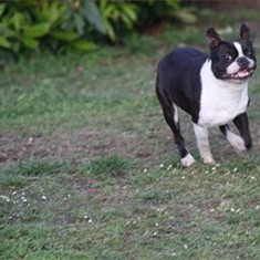 IMG_0133.JPG
