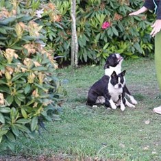 IMG_0138.JPG