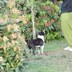 IMG_0139.JPG