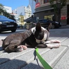 IMG_0167.JPG