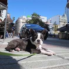 IMG_0170.JPG
