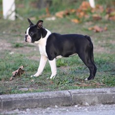 IMG_0341