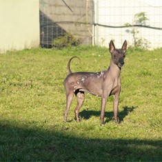 IMG_1044