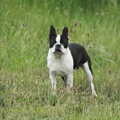 IMG_1149