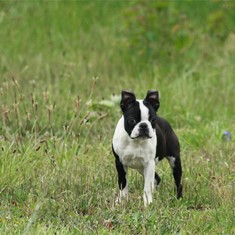 IMG_1165