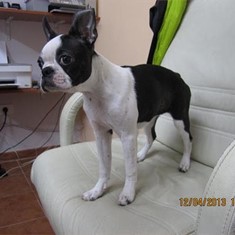 IMG_1962.JPG