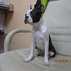 IMG_1966.JPG