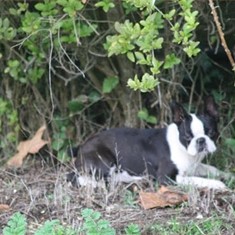 IMG_3448.JPG