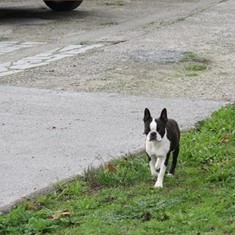 IMG_3460.JPG