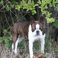 IMG_3465.JPG