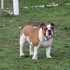 IMG_3471.JPG