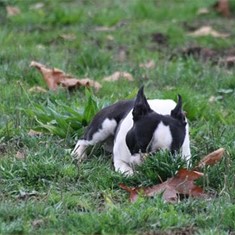 IMG_3479.JPG