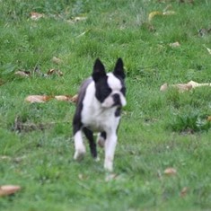 IMG_3480.JPG