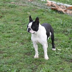 IMG_3512.JPG
