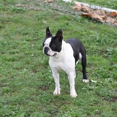 IMG_3513.JPG