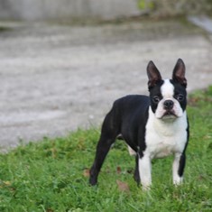 IMG_3757.JPG