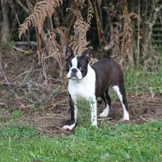 IMG_3762.JPG