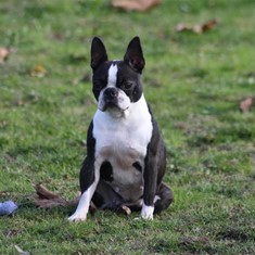 IMG_3777.JPG