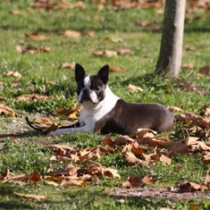IMG_3792.JPG