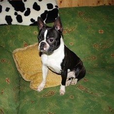 IMG_9932.JPG