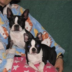 LUNA Y STICH